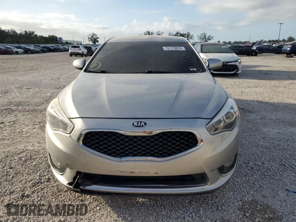 2014 Kia Cadenza Premium with VIN KNALN4D70E5129232, listed as a Copart auction lot 76173074 with 135,856 mi miles and Salvage Title. Bid and sale history available at carsss.com. Image 5.