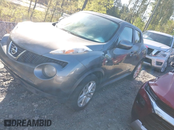 2013 Nissan Juke S with VIN JN8AF5MR1DT216120, listed as a IAAI auction lot 42000079 with 191,191 mi miles. Bid and sale history available at carsss.com. Image 2.