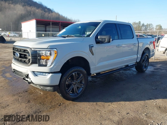 2023 Ford F-150 XL with VIN 1FTFW1E58PFB33406, listed as a IAAI auction lot 41768342 with 42,054 mi miles. Bid and sale history available at carsss.com. Image 18.
