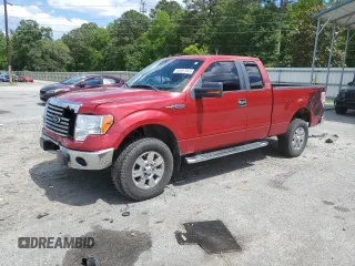 2011 Ford F-150 XL with VIN 1FTEX1CM1BFA31411, listed as a Copart auction lot 55467055 with 225,064 mi miles and Salvage title. Bid and sale history available at DreamBid. Image 1.