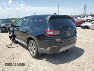 2024 Honda Pilot EX-L 8 Passenger with VIN 5FNYG1H49RB016059, listed as a Copart auction lot 61199604 with 0 mi miles and Salvage Title. Bid and sale history available at carsss.com. Image 2.