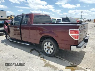 2009 Ford F-150 STX with VIN 1FTRX12869KB38106, listed as a Copart auction lot 62023805 with 66,700 mi miles and Salvage title. Bid and sale history available at DreamBid. Image 2.
