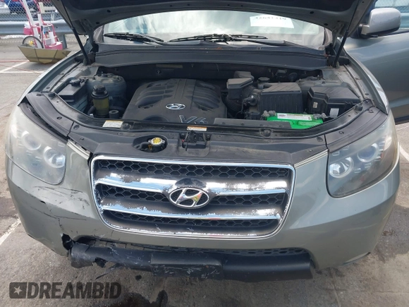 2007 Hyundai Santa Fe SE with VIN 5NMSH13E77H128941, listed as a IAAI auction lot 42641419 with 209,159 mi miles and . Bid and sale history available at DreamBid. Image 10.