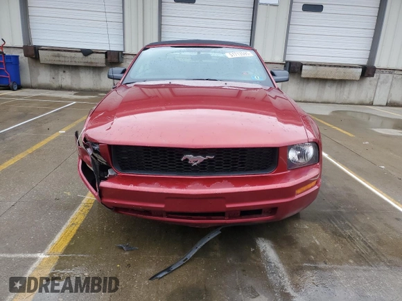 2007 Ford Mustang Deluxe with VIN 1ZVFT84N275353646, listed as a Copart auction lot 51713595 with 189,090 mi miles and Salvage Title. Bid and sale history available at carsss.com. Image 5.