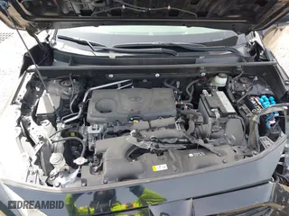 2019 Toyota RAV4 XLE with VIN JTMP1RFV8KD033794, listed as a IAAI auction lot 41923029 with 62,249 mi miles. Bid and sale history available at carsss.com. Image 10.