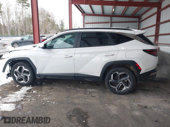 2024 Hyundai Tucson SEL with VIN 5NMJBCDE2RH424685, listed as a IAAI auction lot 41524218 with 10,481 mi miles and . Bid and sale history available at DreamBid. Image 15.