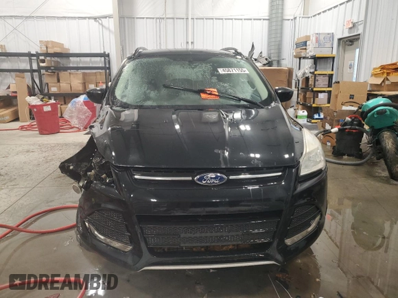 2014 Ford Escape SE with VIN 1FMCU9G93EUA16988, listed as a Copart auction lot 45871155 with 0 mi miles and Clean Title. Bid and sale history available at carsss.com. Image 5.