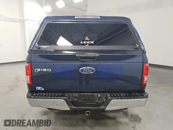 2017 Ford F-150 XL with VIN 1FTEX1E86HFA38914, listed as a Copart auction lot 46402555 with 326,412 mi miles and Clean Title. Bid and sale history available at carsss.com. Image 6.