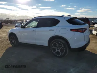 2019 Alfa Romeo Stelvio Ti with VIN ZASPAKBN7K7C50837, listed as a Copart auction lot 80262404 with Not provided miles and Salvage title. Bid and sale history available at DreamBid. Image 2.