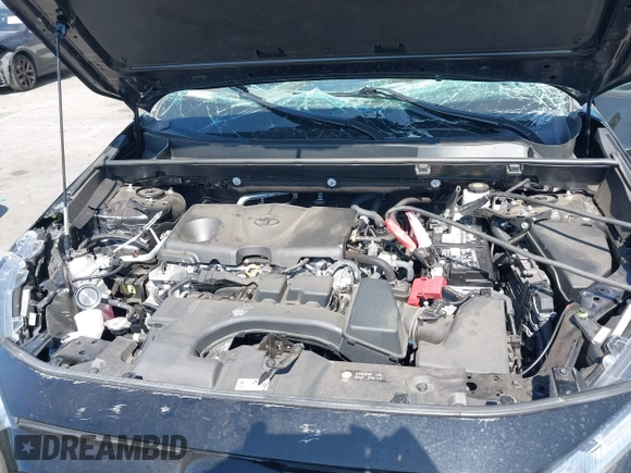 2023 Toyota RAV4 LE with VIN 2T3F1RFV0PC357541, listed as a IAAI auction lot 42348266 with 43,451 mi miles and . Bid and sale history available at DreamBid. Image 10.