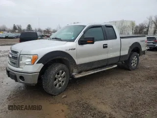2013 Ford F-150 XL with VIN 1FTFX1EF1DFC10960, listed as a Copart auction lot 53266205 with 179,654 mi miles and Clean Title. Bid and sale history available at carsss.com. Image 1.