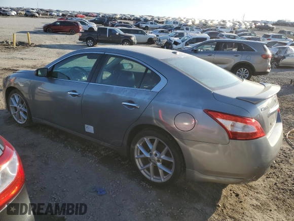 2009 Nissan Maxima SV with VIN 1N4AA51E79C842795, listed as a Copart auction lot 46104835 with 194,910 mi miles and Salvage Title. Bid and sale history available at DreamBid. Image 2.