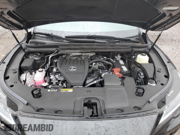 2025 Lexus RX 350 with VIN 2T2BAMCA4SC091988, listed as a Copart auction lot 52320925 with 3,725 mi miles and Salvage Title. Bid and sale history available at DreamBid. Image 12.