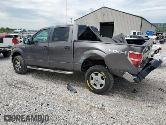 2013 Ford F-150 XL with VIN 1FTFW1ET4DKF81269, listed as a Copart auction lot 55813125 with 158,729 mi miles and Salvage title. Bid and sale history available at DreamBid. Image 2.