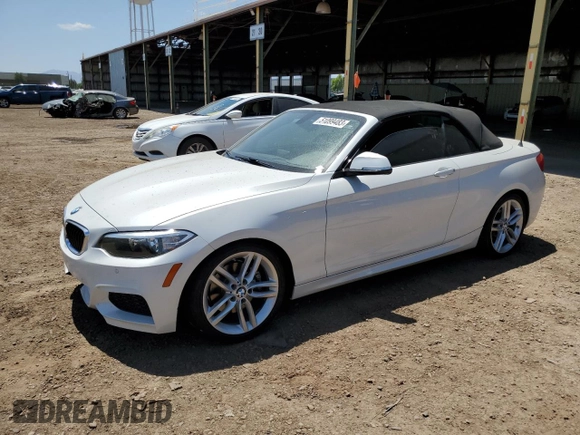 2016 BMW 2 Series 228i with VIN WBA1K9C54GV322418, listed as a Copart auction lot 51099483 with 105,804 mi miles. Bid and sale history available at carsss.com. Image 1.