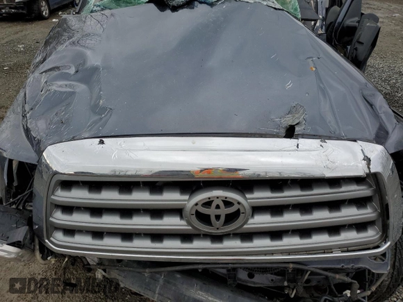 2010 Toyota Sequoia Platinum with VIN 5TDDY5G13AS024314, listed as a Copart auction lot 44349705 with 0 mi miles and Salvage Title. Bid and sale history available at carsss.com. Image 13.