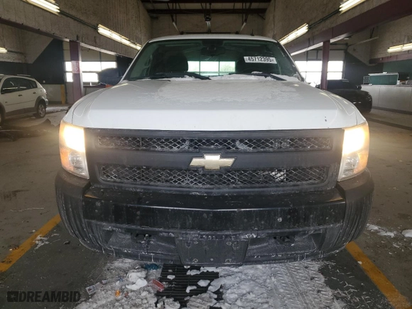 2008 Chevrolet Silverado 1500 Work Truck with VIN 1GCEK14X48Z116550, listed as a Copart auction lot 45712395 with 207,532 mi miles and Salvage Title. Bid and sale history available at carsss.com. Image 5.