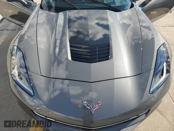 2016 Chevrolet Corvette 2LT with VIN 1G1YD2D79G5111484, listed as a Copart auction lot 73873324 with 0 mi miles and Non Repairable. Bid and sale history available at carsss.com. Image 11.