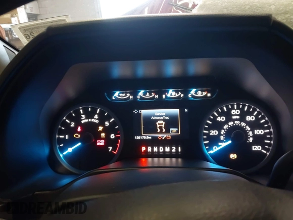 2017 Ford F-150 XL with VIN 1FTFX1EF2HFB15796, listed as a IAAI auction lot 41331268 with 135,179 mi miles. Bid and sale history available at carsss.com. Image 7.