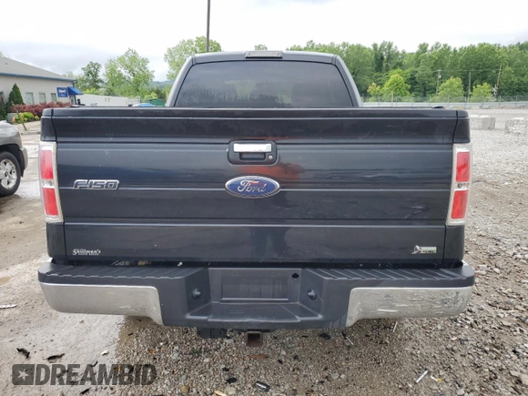 2011 Ford F-150 XL with VIN 1FTFX1EF5BFA01265, listed as a Copart auction lot 54848895 with 166,524 mi miles and Salvage title. Bid and sale history available at DreamBid. Image 6.