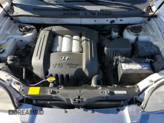 2002 Hyundai Santa Fe GLS with VIN KM8SC13DX2U329705, listed as a Copart auction lot 48986355 with 118,502 mi miles and Salvage Title. Bid and sale history available at carsss.com. Image 12.