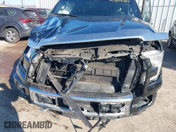 2017 Ford F-150 XL with VIN 1FTEW1EG4HFB89583, listed as a IAAI auction lot 41286207 with 113,374 mi miles. Bid and sale history available at carsss.com. Image 6.