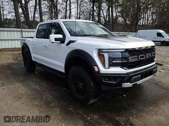 2024 Ford F-150 Raptor with VIN 1FTFW1RG5RFA24884, listed as a Copart auction lot 48981025 with 116 mi miles and Salvage Title. Bid and sale history available at DreamBid. Image 13.