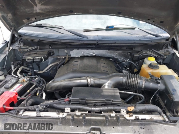 2014 Ford F-150 XL with VIN 1FTFW1ET3EFA92386, listed as a IAAI auction lot 42454065 with 283,399 mi miles and . Bid and sale history available at DreamBid. Image 10.