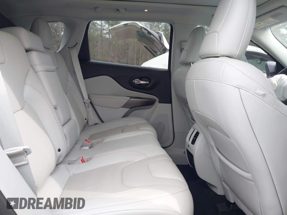 2019 Jeep Cherokee Limited with VIN 1C4PJLDN0KD300846, listed as a IAAI auction lot 41688555 with 54,166 mi miles. Bid and sale history available at carsss.com. Image 8.