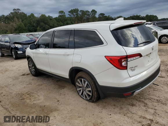 2019 Honda Pilot EX-L with VIN 5FNYF5H43KB007793, listed as a Copart auction lot 80502344 with 105,475 mi miles and Non repairable. Bid and sale history available at DreamBid. Image 2.
