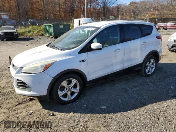 2014 Ford Escape SE with VIN 1FMCU0GX3EUA60323, listed as a Copart auction lot 80491164 with 66,589 mi miles and Clean Title. Bid and sale history available at carsss.com. Image 1.