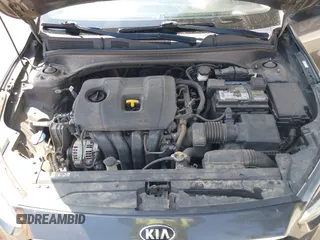 2019 Kia Forte LXS with VIN 3KPF24AD6KE137970, listed as a IAAI auction lot 42603942 with 119,525 mi miles and . Bid and sale history available at DreamBid. Image 10.