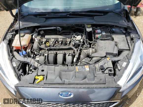 2017 Ford Focus SE with VIN 1FADP3F25HL228597, listed as a Copart auction lot 54885375 with 50,586 mi miles and Non Repairable. Bid and sale history available at DreamBid. Image 11.