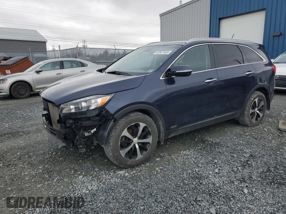 2016 Kia Sorento EX with VIN 5XYPHDA51GG173832, listed as a Copart auction lot 52921635 with 239,331 mi miles and Salvage Title. Bid and sale history available at carsss.com. Image 1.