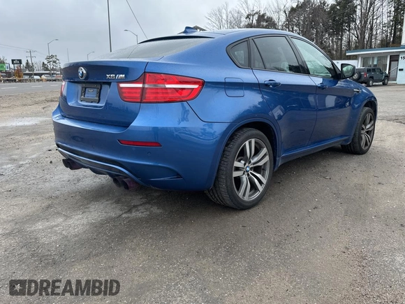 2013 BMW X6 M with VIN 5YMGZ0C57DLL29849, listed as a Copart auction lot 53517205 with 117,400 mi miles and Clean Title. Bid and sale history available at carsss.com. Image 4.