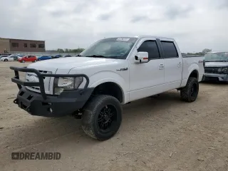 2009 Ford F-150 XL z VIN 1FTPW14V19FA18624, wystawiony jako Copart lot #53736275 z przebiegiem 143 358 mil mil oraz Szkody całkowita. Historia ofert i sprzedaży dostępna na DreamBid. Obrazek 1.