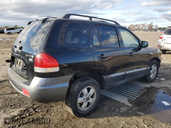 2005 Hyundai Santa Fe GLS with VIN KM8SC13EX5U966400, listed as a Copart auction lot 80776403 with 132,840 mi miles and Salvage Title. Bid and sale history available at carsss.com. Image 3.