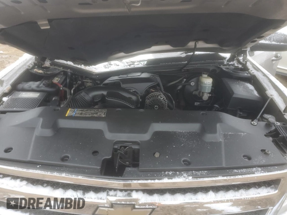 2009 Chevrolet Silverado 1500 with VIN 2GCEC23J191140301, listed as a Copart auction lot 45950505 with Not Provided miles and Non Repairable. Bid and sale history available at DreamBid. Image 11.