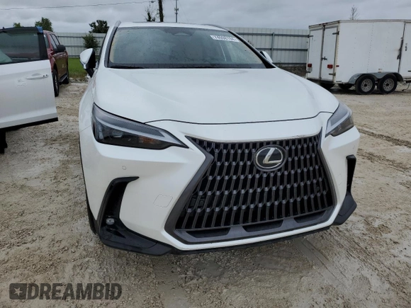 2025 Lexus NX with VIN JTJGDCAZ2S2016027, listed as a Copart auction lot 74098194 with 0 mi miles and Non Repairable. Bid and sale history available at carsss.com. Image 5.