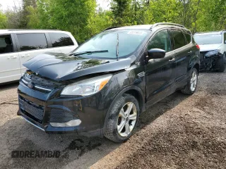 2014 Ford Escape SE with VIN 1FMCU9GX2EUB50177, listed as a Copart auction lot 58579645 with 228,017 mi miles and Salvage title. Bid and sale history available at DreamBid. Image 1.