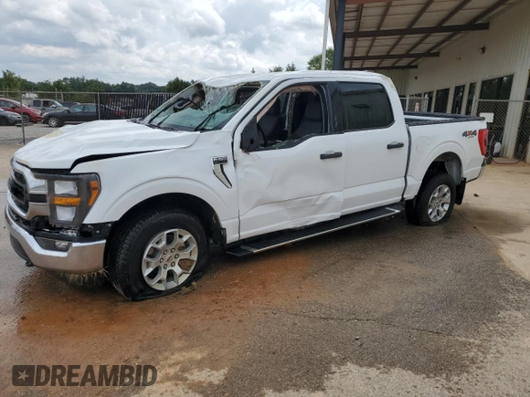 2023 Ford F-150 XL with VIN 1FTEW1EP1PFB86459, listed as a Copart auction lot 60636815 with 39,423 mi miles and Clean title. Bid and sale history available at DreamBid. Image 1.