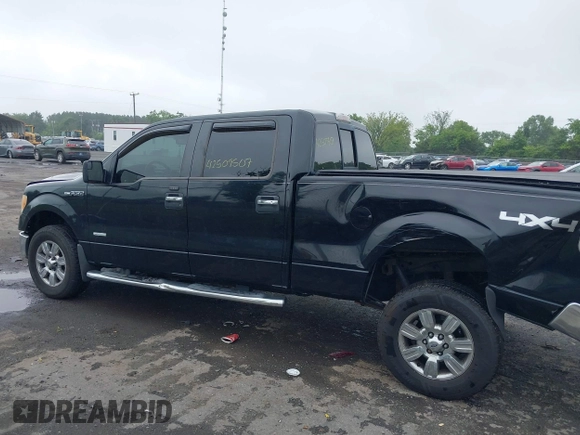 2011 Ford F-150 XLT with VIN 1FTFW1ETXBFB94649, listed as a IAAI auction lot 42509507 with 185,997 mi miles and . Bid and sale history available at DreamBid. Image 14.