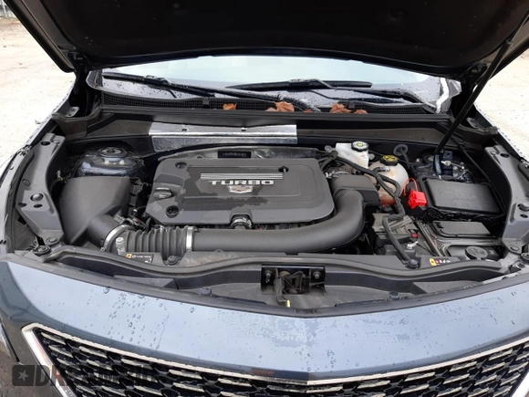 2021 Cadillac XT4 FWD Premium Luxury with VIN 1GYFZCR43MF001003, listed as a Copart auction lot 67527962 with 30,230 mi miles. Bid and sale history available at carsss.com. Image 13.