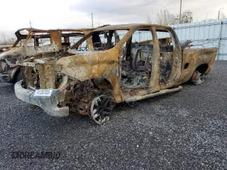 2020 Chevrolet Silverado 1500 Custom Trail Boss with VIN 1GCRYCEF5LZ236674, listed as a Copart auction lot 74135703 with Not Provided miles and Non Repairable. Bid and sale history available at DreamBid. Image 1.