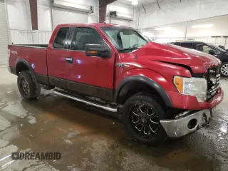 2010 Ford F-150 XL with VIN 1FTFX1EV4AKE10502, listed as a Copart auction lot 48208995 with 162,801 mi miles and Non repairable. Bid and sale history available at DreamBid. Image 4.