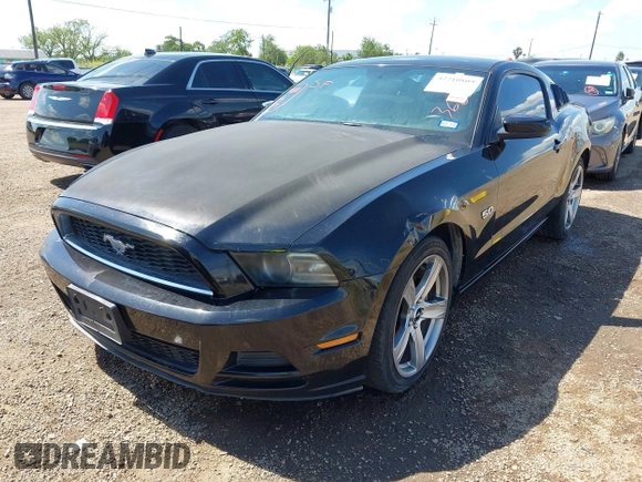 2013 Ford Mustang V6 with VIN 1ZVBP8AM3D5244879, listed as a IAAI auction lot 42210809 with Not provided miles and . Bid and sale history available at DreamBid. Image 6.