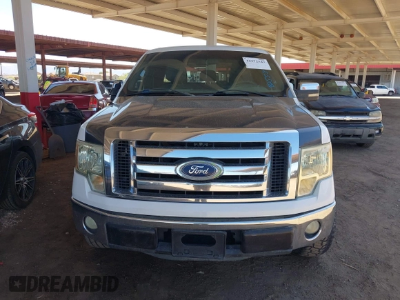 2011 Ford F-150 XL with VIN 1FTFX1CFXBFB25535, listed as a IAAI auction lot 42272543 with 231,709 mi miles and . Bid and sale history available at DreamBid. Image 12.