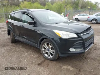 2014 Ford Escape SE z VIN 1FMCU0GX4EUA35916, wystawiony jako IAAI lot #42176502 z przebiegiem 161 465 mil mil oraz . Historia ofert i sprzedaży dostępna na DreamBid. Obrazek 1.