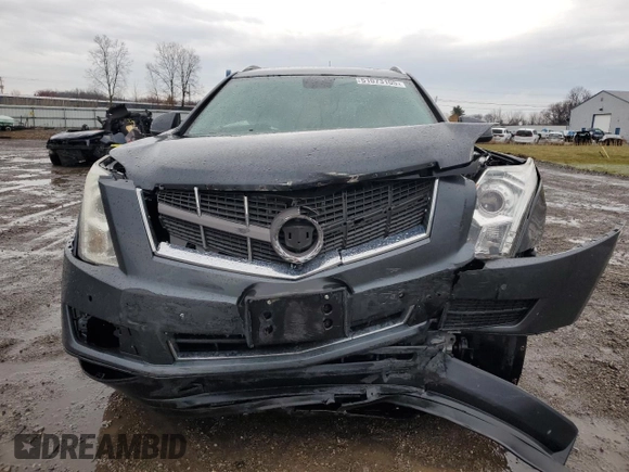 2010 Cadillac SRX Luxury Collection with VIN 3GYFNAEY3AS638568, listed as a Copart auction lot 51073105 with 170,278 mi miles and Salvage Title. Bid and sale history available at carsss.com. Image 5.