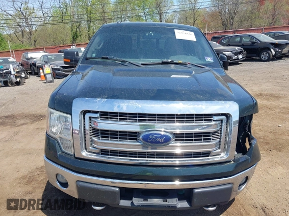 2013 Ford F-150 XL z VIN 1FTFX1EF8DKG01708, wystawiony jako IAAI lot #42091836 z przebiegiem 233 588 mil mil oraz . Historia ofert i sprzedaży dostępna na DreamBid. Obrazek 12.